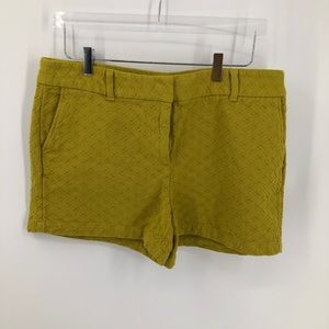 Green Loft Outlet Cotton Shorts